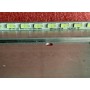 LED подсветка TV Changhong 3D55A4000TC 6922L-0004A 6922L-0003A - фото 2